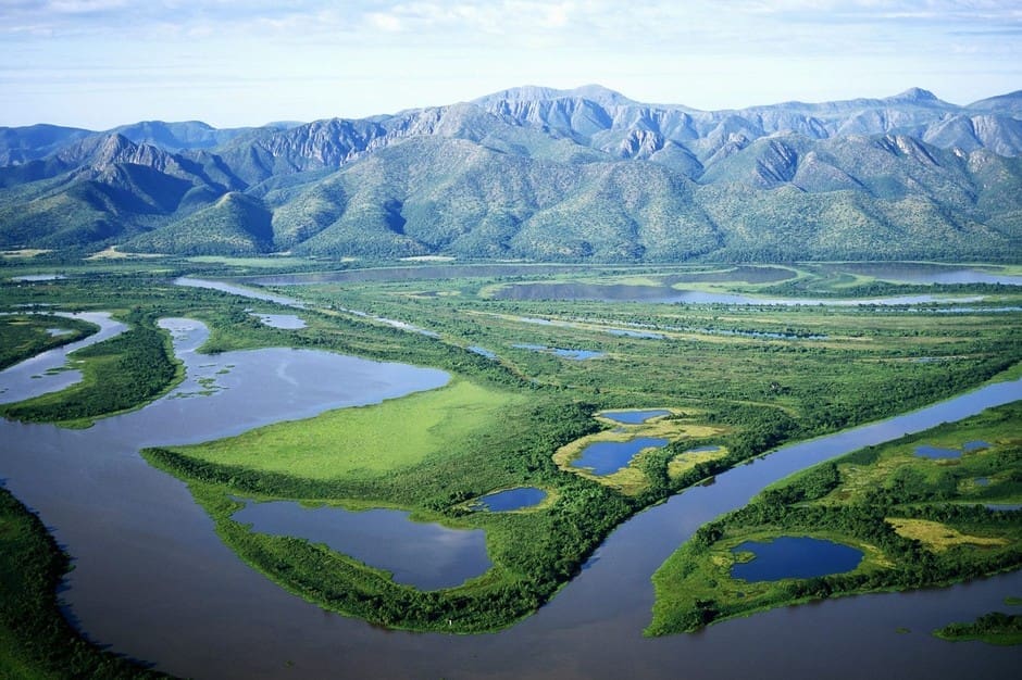 500 Jaguars Fall Victim To Amazon Fires